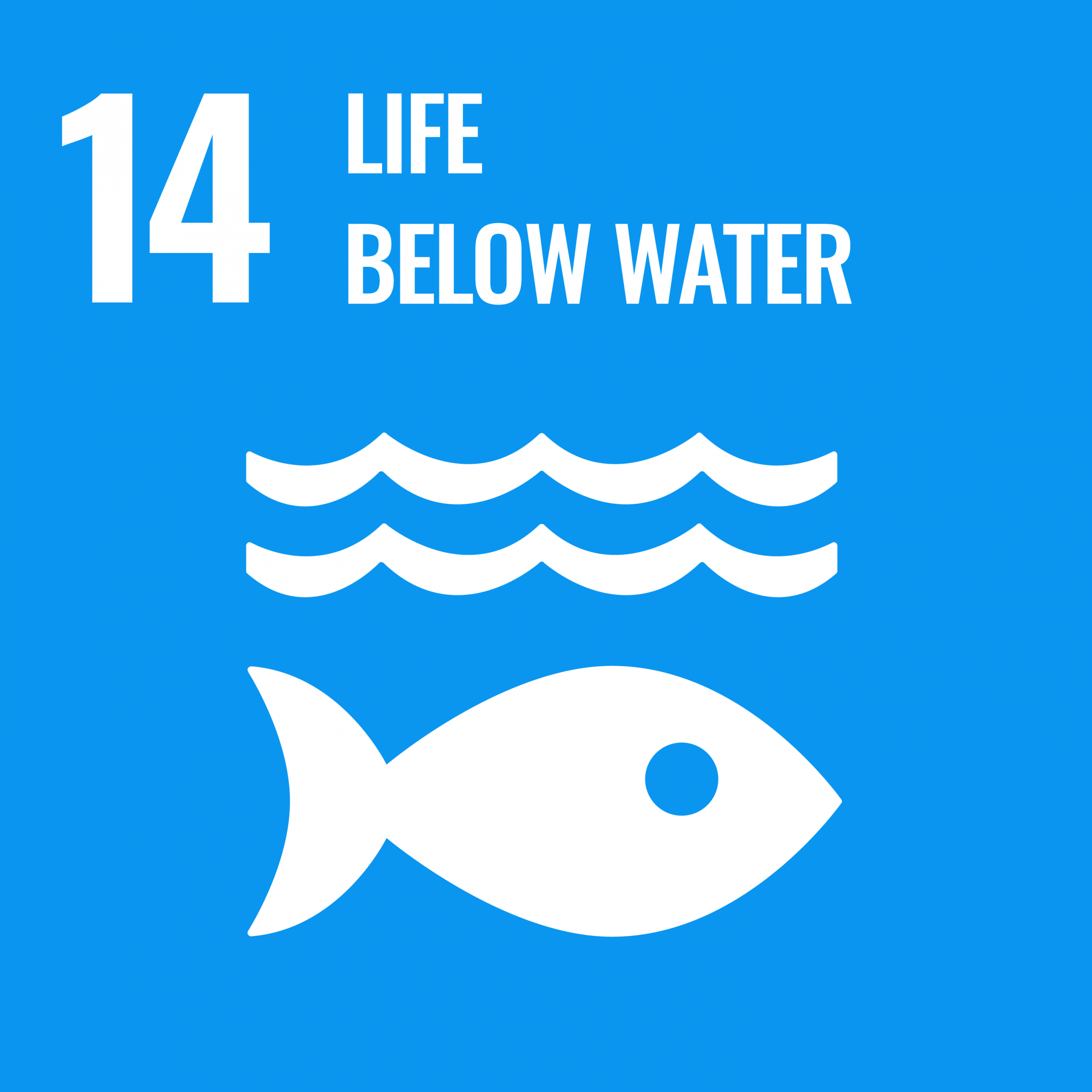 Public Photos / Files - 14 Life below water