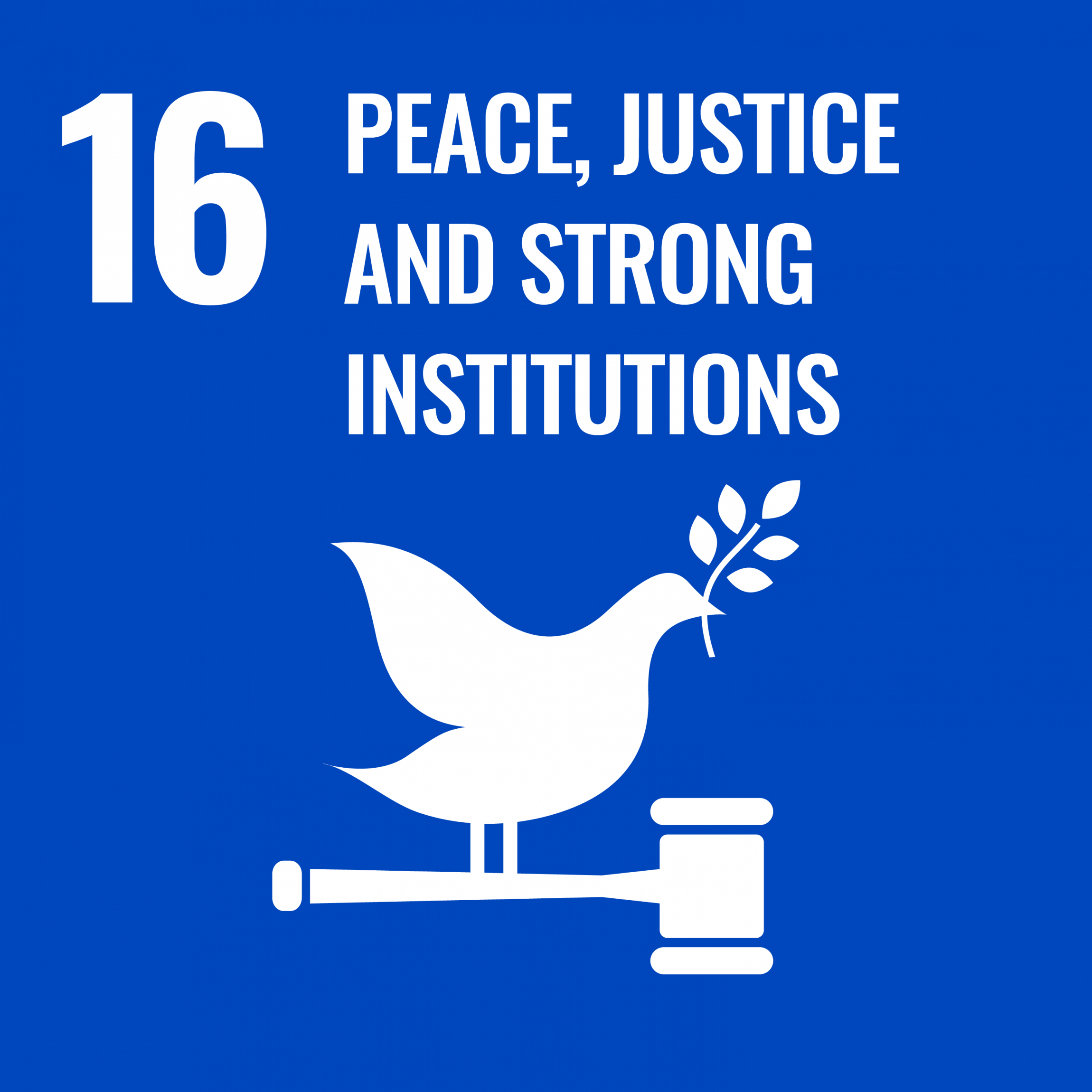 Public Photos / Files - 16 Peace, justice and strong institutions
